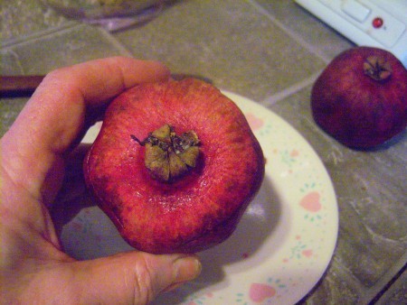The end of a pomegranate.