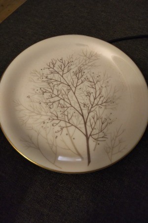 A plate with a decorative pattern.