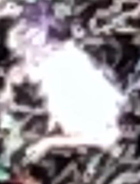 A blurry fuzzy closeup.