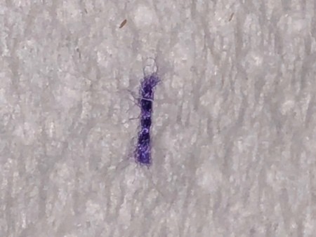 A blue-purple fuzz on a light background.