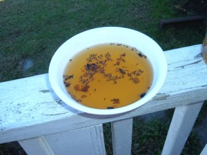 A vinegar trap for gnats.