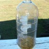 The completed gnat trap.