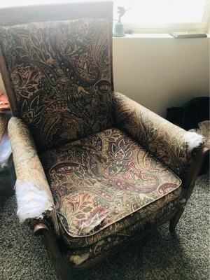 An upholstered armchair.
