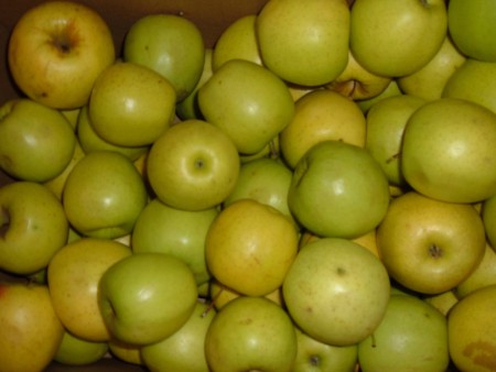 A collection of apples.