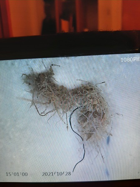 A close up of some fibers.