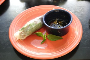 Fresh Beef Spring Rolls with dipping sauce.