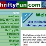 ThriftyFun Website 2001
