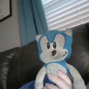 A stuffed Sonic the Hedgehog.