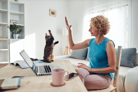 A woman working at home giving a high-five to her cat.