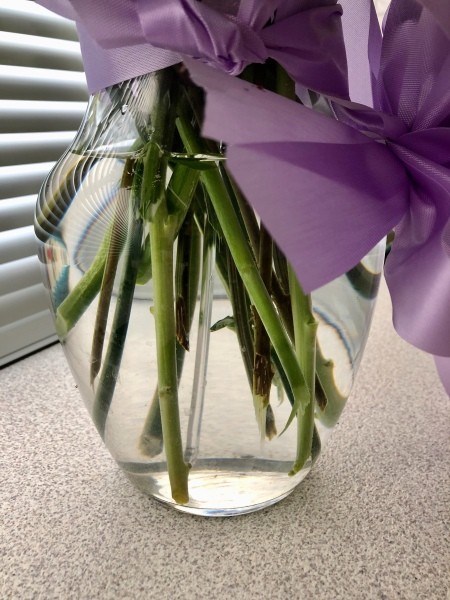 Well cut ends in a flower vase.