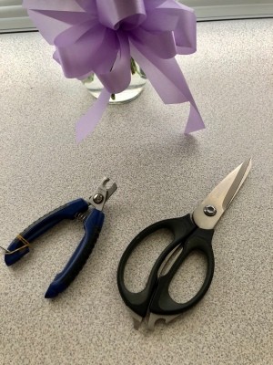 A pair of puppy clippers next to a pair of kitchen shears.