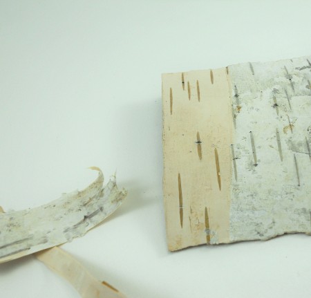 Pieces of birch bark.