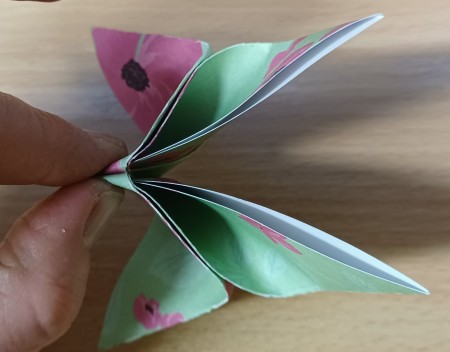 The butterfly shape from the side.