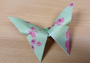 The completed Origami Butterfly