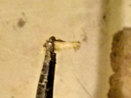 A small fragment in tweezers.