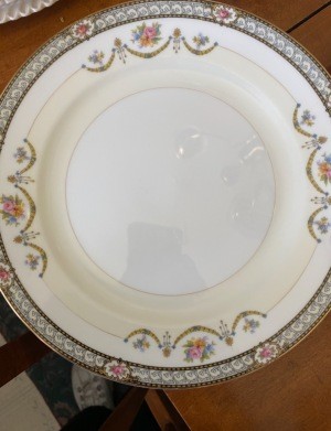 A china plate with a decorative border.