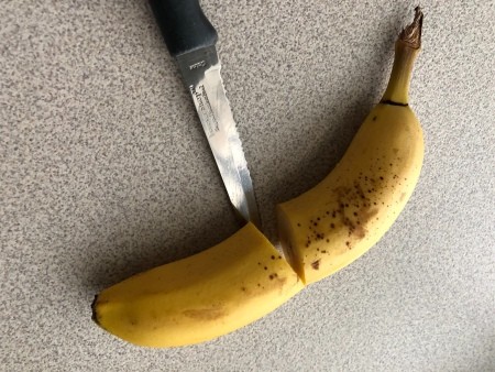 Cutting a banana in half.