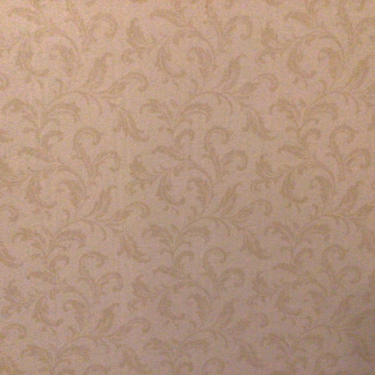 Looking for S.A. Maxwell Wallpaper? | ThriftyFun