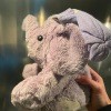 A stuffed elephant toy.