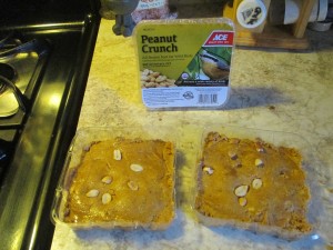 Two squares of suet made from one package.