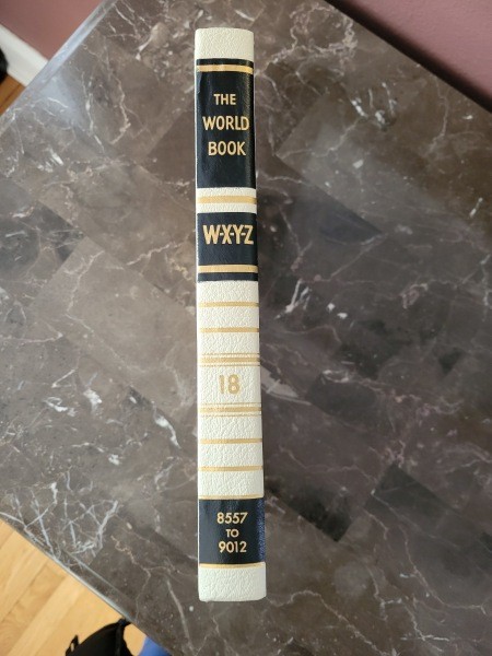 The spine of a book.