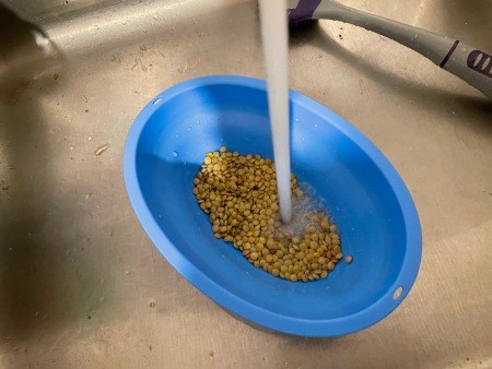 Adding water to the lentils