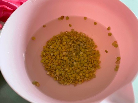 Soaking the lentils in water.