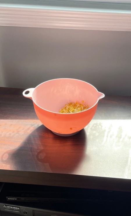 A bowl of sprouted lentils.
