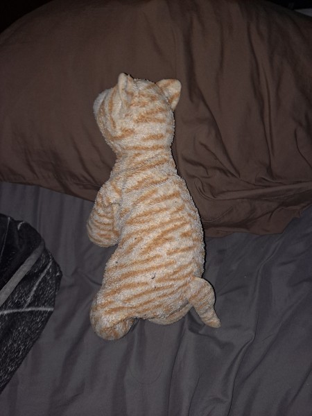 The back of a stuffed cat.