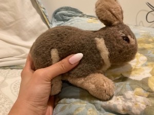 A small brown stuffed bunny.