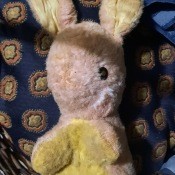 A small stuffed rabbit toy.