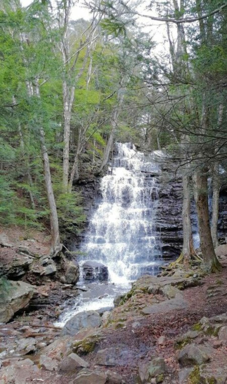 A waterfall in the woods.