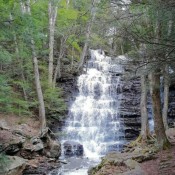 A waterfall in the woods.