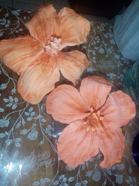Hibiscus flowers made from gum paste.