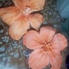 Hibiscus flowers made from gum paste.