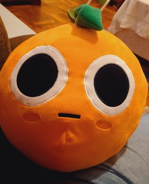 An orange stuffed toy.