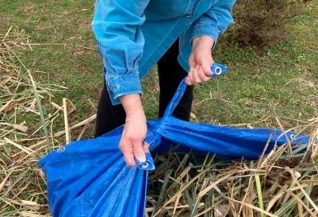 Using a Tarp for Yard Cleanup