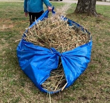 Using a Tarp for Yard Cleanup