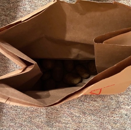 Storing potatoes in a paper bag.