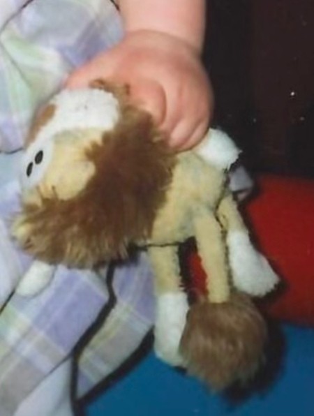 The stuffed lion when it was new.