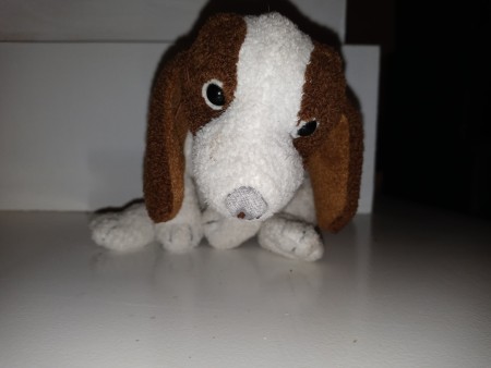 A brown and white stuffed dog, from the front.