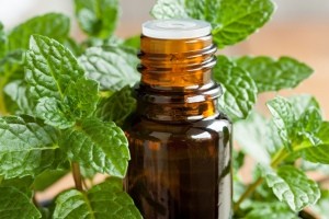 A bottle of peppermint oil next to peppermint leaves.