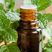 A bottle of peppermint oil next to peppermint leaves.