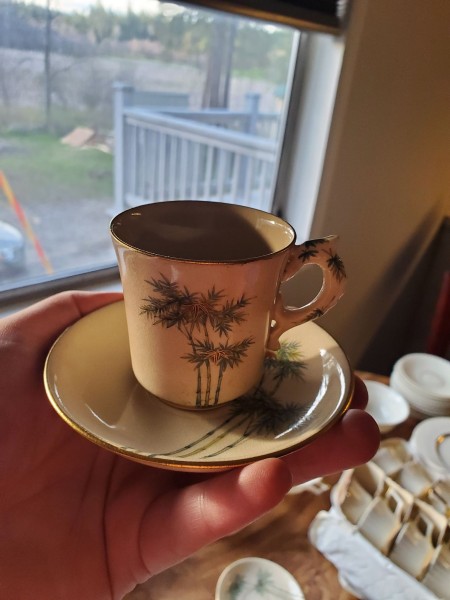 A bamboo patterned cup and saucer.