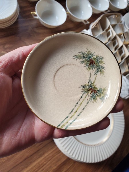 A china bamboo patterned saucer.