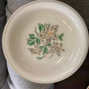 A floral pattern on a piece of china.