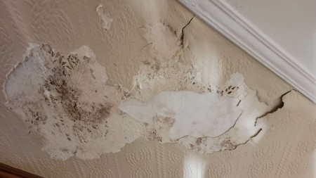 The damaged wallpaper.