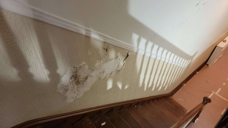 The damaged wallpaper.