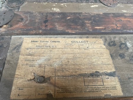 A sticker on a trunk.