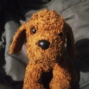 A small stuffed brown dog.